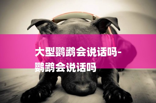 大型鸚鵡會說話嗎-
鸚鵡會說話嗎