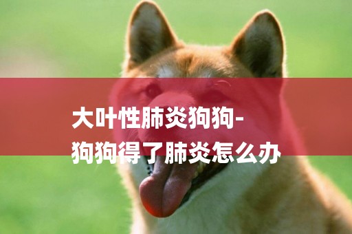 大葉性肺炎狗狗-
狗狗得了肺炎怎么辦