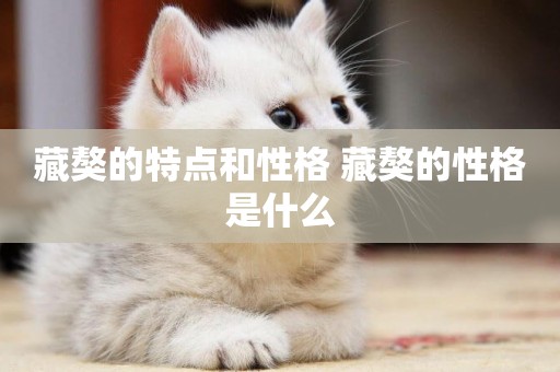 藏獒的特點和性格 藏獒的性格是什么