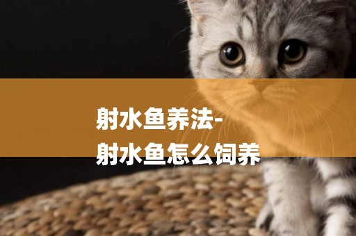 射水魚養法-
射水魚怎么飼養