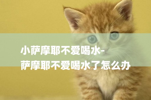 小薩摩耶不愛喝水-
薩摩耶不愛喝水了怎么辦