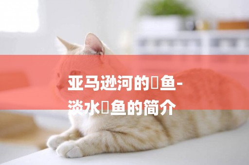 亞馬遜河的魟魚-
淡水魟魚的簡介