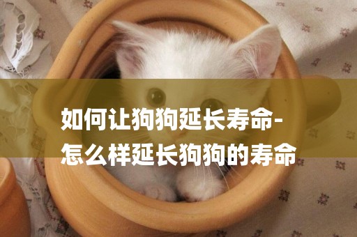 如何讓狗狗延長壽命-
怎么樣延長狗狗的壽命