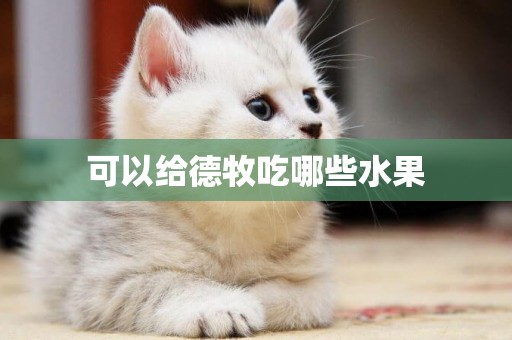 可以給德牧吃哪些水果