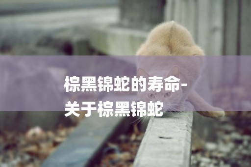 棕黑錦蛇的壽命-
關于棕黑錦蛇