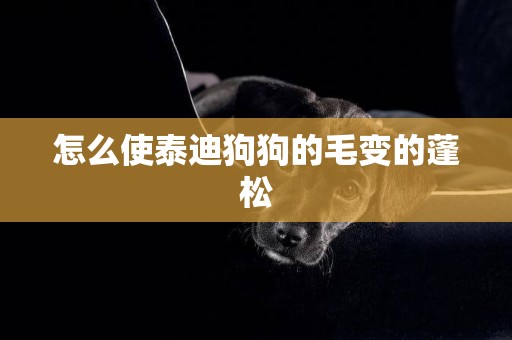 怎么使泰迪狗狗的毛變的蓬松