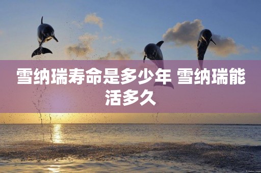 雪納瑞壽命是多少年 雪納瑞能活多久