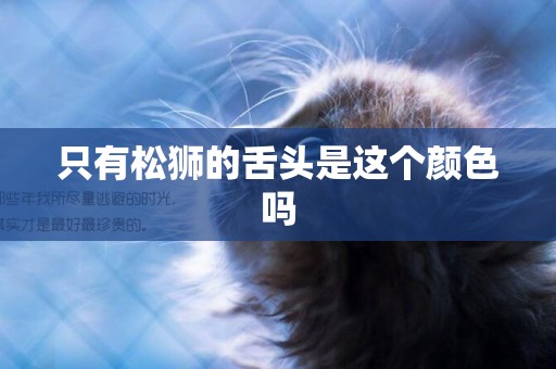 只有松獅的舌頭是這個顏色嗎