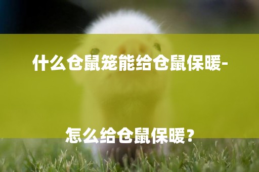 什么倉鼠籠能給倉鼠保暖-
怎么給倉鼠保暖？