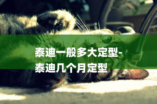 泰迪一般多大定型-
泰迪幾個月定型