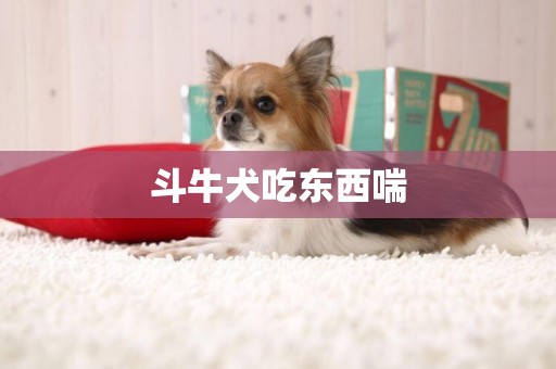 斗牛犬吃東西喘