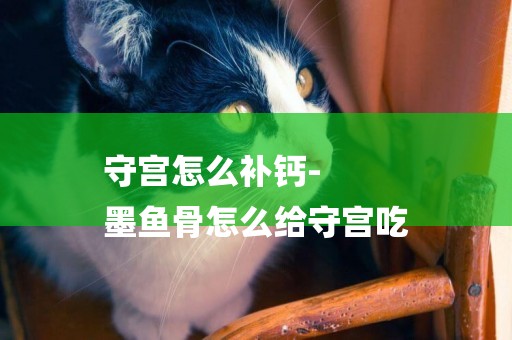 守宮怎么補鈣-
墨魚骨怎么給守宮吃