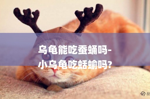 烏龜能吃蠶蛹嗎-
小烏龜吃蛞蝓嗎?