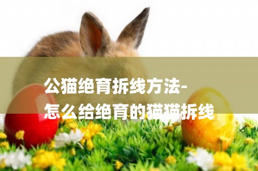 公貓絕育拆線方法-
怎么給絕育的貓貓拆線