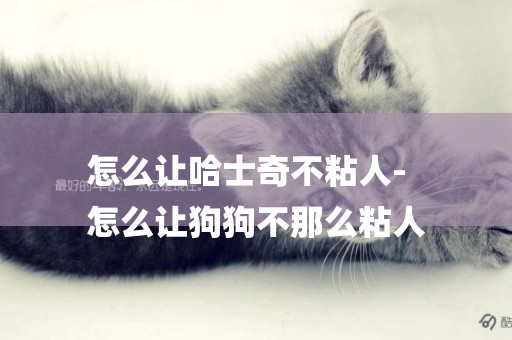 怎么讓哈士奇不粘人-
怎么讓狗狗不那么粘人
