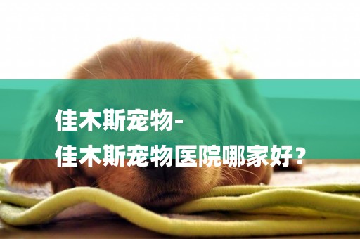 佳木斯寵物-
佳木斯寵物醫院哪家好？