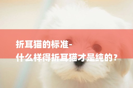 折耳貓的標準-
什么樣得折耳貓才是純的？