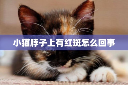 小貓脖子上有紅斑怎么回事