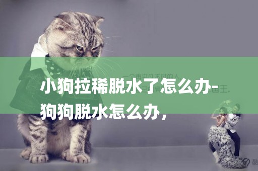 小狗拉稀脫水了怎么辦-
狗狗脫水怎么辦，