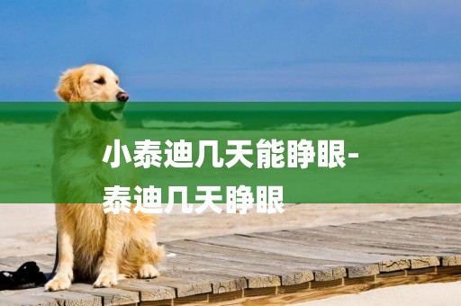 小泰迪幾天能睜眼-
泰迪幾天睜眼