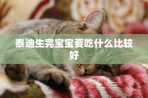 泰迪生完寶寶要吃什么比較好