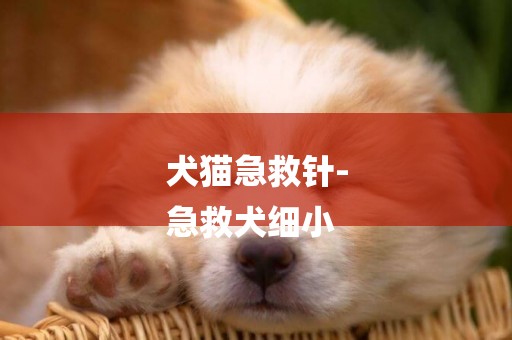犬貓急救針-
急救犬細小