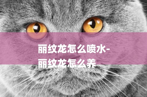 麗紋龍怎么噴水-
麗紋龍怎么養
