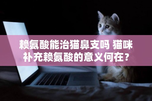 賴氨酸能治貓鼻支嗎 貓咪補充賴氨酸的意義何在？
