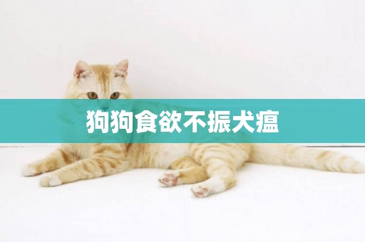 狗狗食欲不振犬瘟