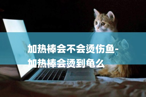加熱棒會不會燙傷魚-
加熱棒會燙到龜么