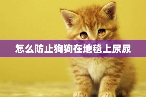 怎么防止狗狗在地毯上尿尿