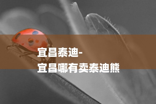 宜昌泰迪-
宜昌哪有賣泰迪熊