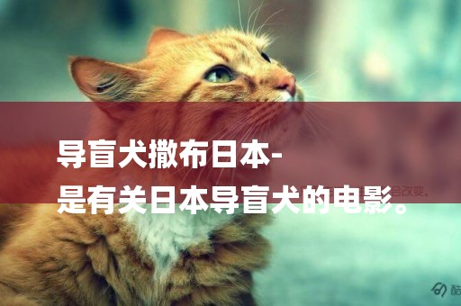 導盲犬撒布日本-
是有關日本導盲犬的電影。