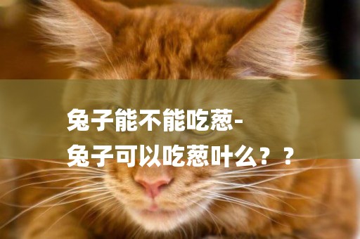 兔子能不能吃蔥-
兔子可以吃蔥葉么？？