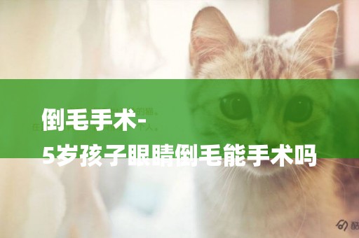 倒毛手術-
5歲孩子眼睛倒毛能手術嗎