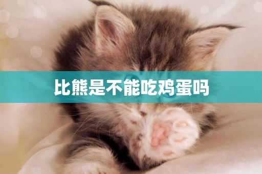 比熊是不能吃雞蛋嗎