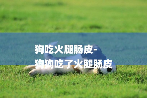狗吃火腿腸皮-
狗狗吃了火腿腸皮