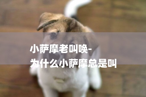 小薩摩老叫喚-
為什么小薩摩總是叫