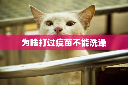 為啥打過疫苗不能洗澡