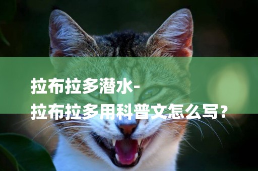 拉布拉多潛水-
拉布拉多用科普文怎么寫？