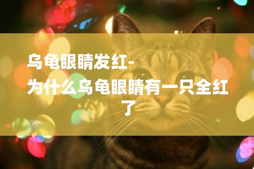 烏龜眼睛發紅-
為什么烏龜眼睛有一只全紅了