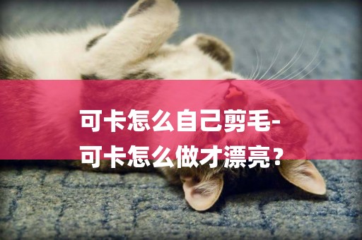 可卡怎么自己剪毛-
可卡怎么做才漂亮？