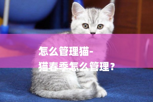 怎么管理貓-
貓春季怎么管理？