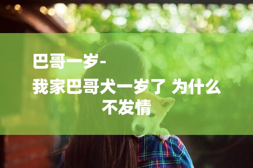 巴哥一歲-
我家巴哥犬一歲了?為什么不發情