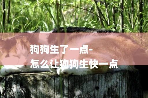 狗狗生了一點-
怎么讓狗狗生快一點