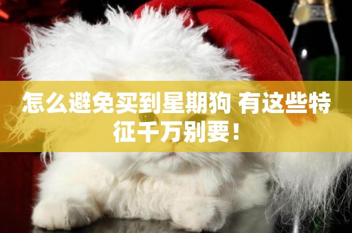 怎么避免買到星期狗 有這些特征千萬別要！