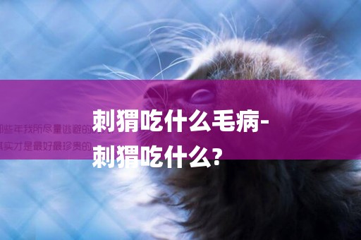 刺猬吃什么毛病-
刺猬吃什么?