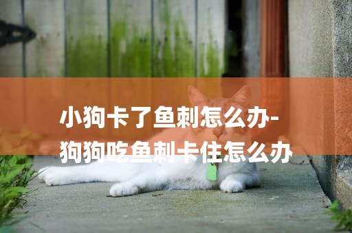 小狗卡了魚刺怎么辦-
狗狗吃魚刺卡住怎么辦