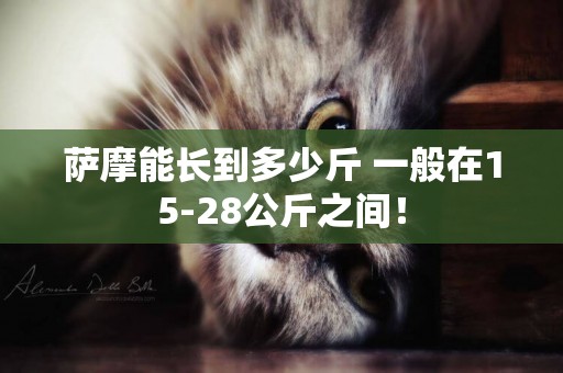 薩摩能長到多少斤 一般在15-28公斤之間！