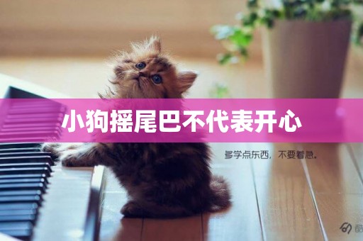 小狗搖尾巴不代表開心